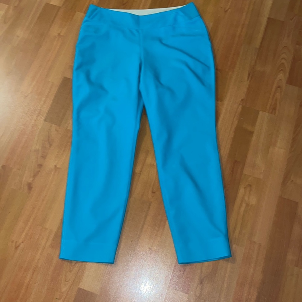 Investments Ankle Pants